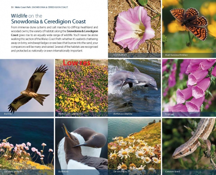 Official Guide: Wales Coast Path: Snowdonia & Ceredigion Coast