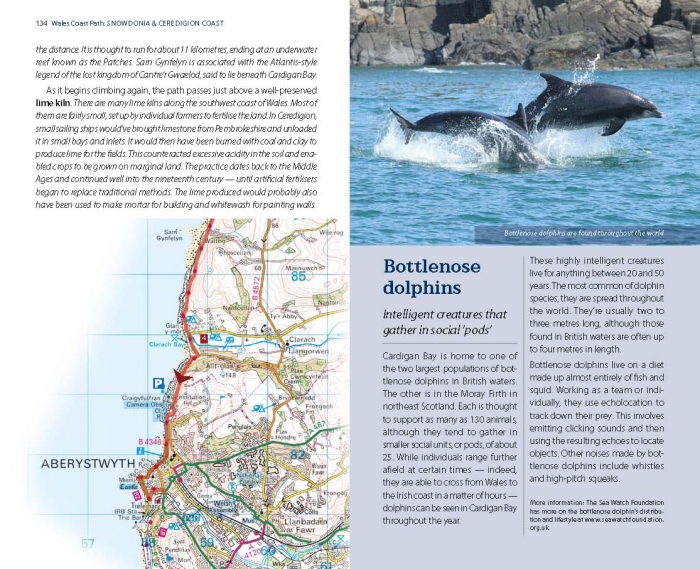 Official Guide: Wales Coast Path: Snowdonia & Ceredigion Coast