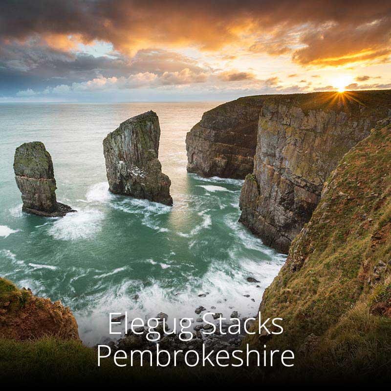 Elegug Stacks in Pembrokeshire are home to vast colonies of nesting seabirds in season