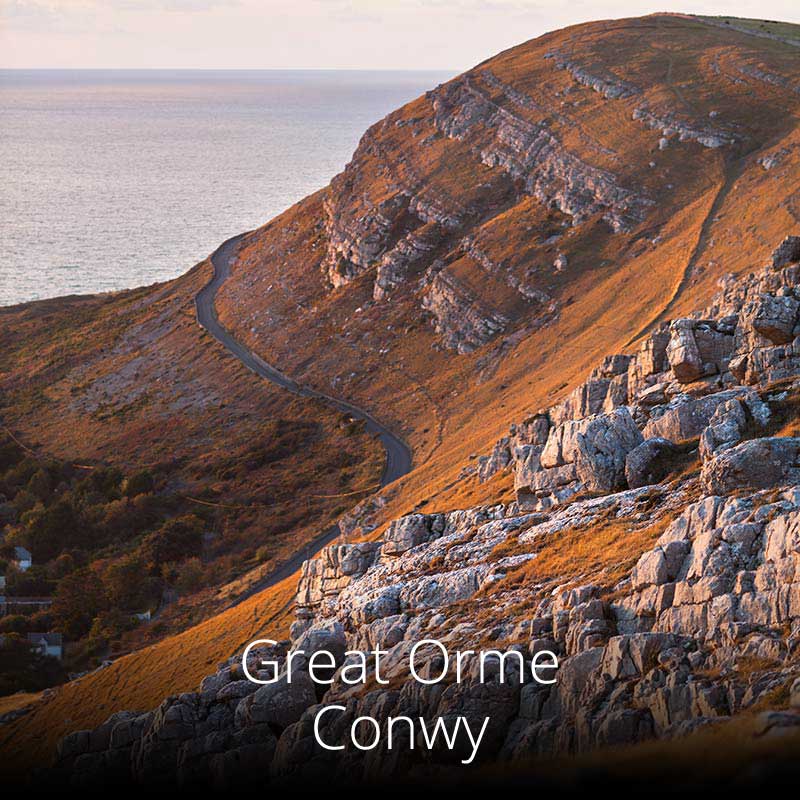 The Great Orme's massive limestone cliffs, right on the Wales Coast Path, jut into the Irish Sea
