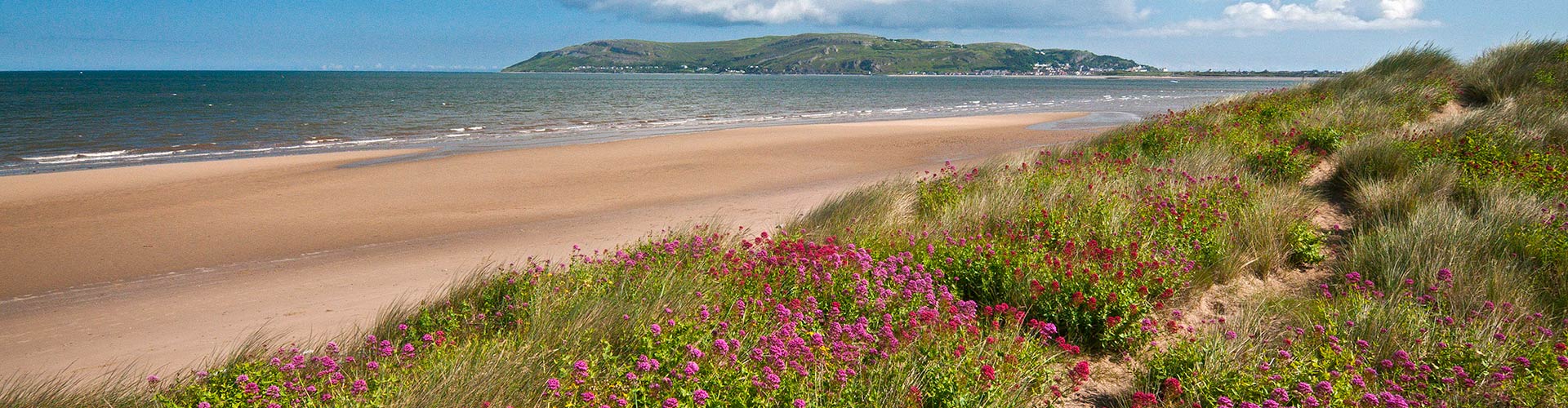 The Wales Coastal Path skirts Morfa Conwy